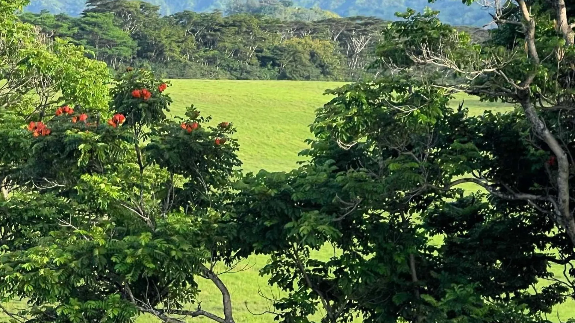 Kapaa Sands 10 0*, Kapa'a Stati Uniti