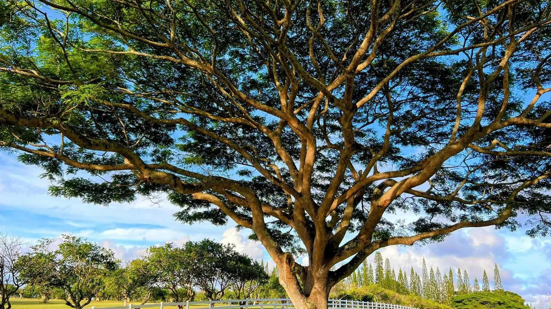 Appartamento Kapaa Sands 10 Stati Uniti