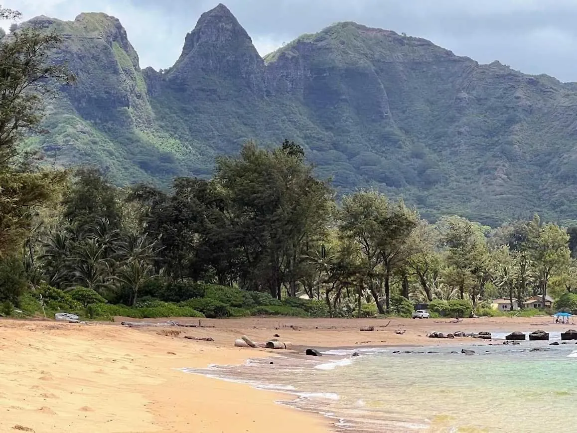 Kapaa Sands 10 Verenigde Staten